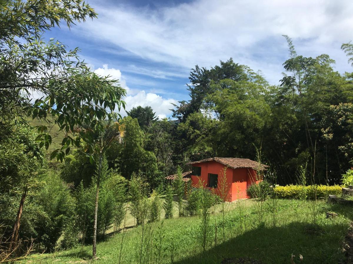Ecolodge Bahia del Peñón Guatapé Exterior foto